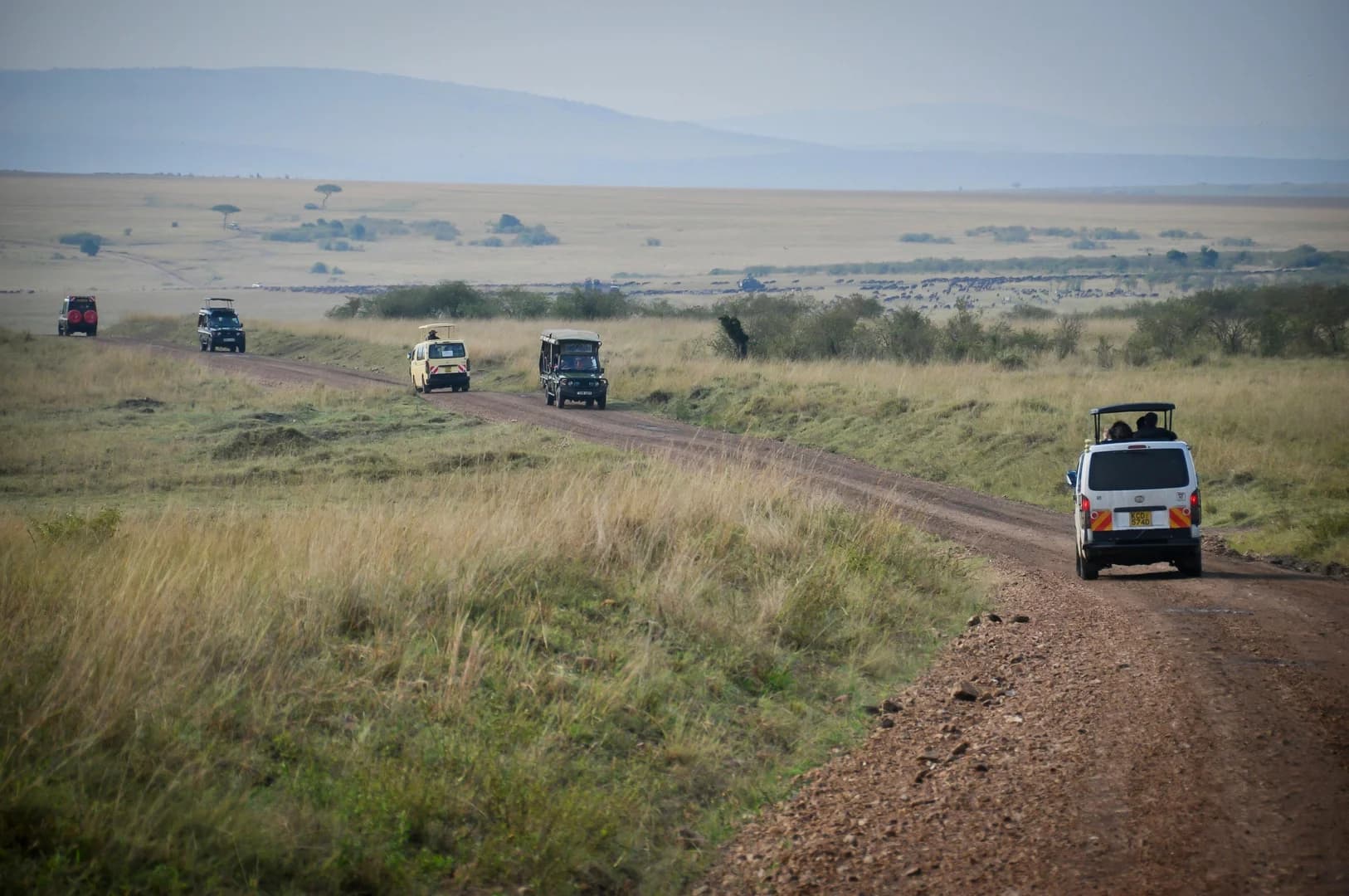 Tsavo East Exploration