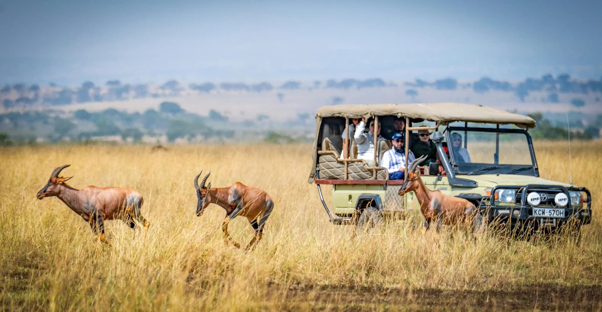 Final Game Drive