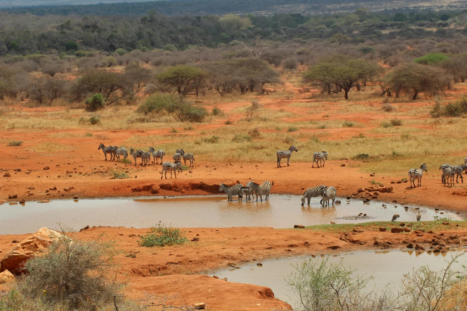 Tsavo West