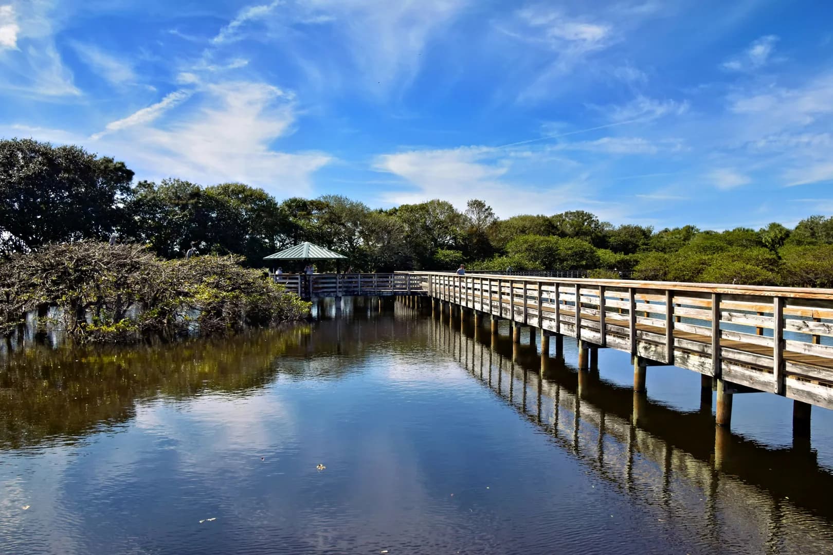 Boardwalk & Bird Watching