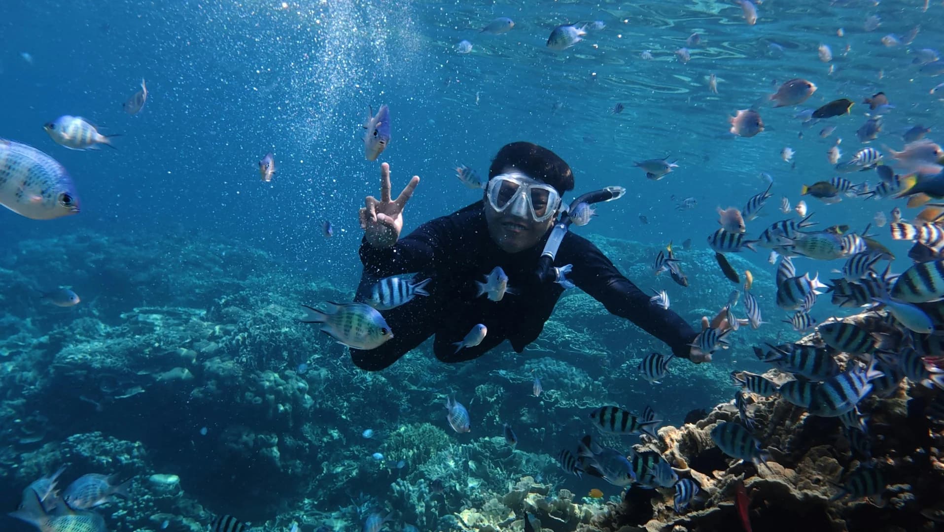 Wasini Island & Kisite Marine Park