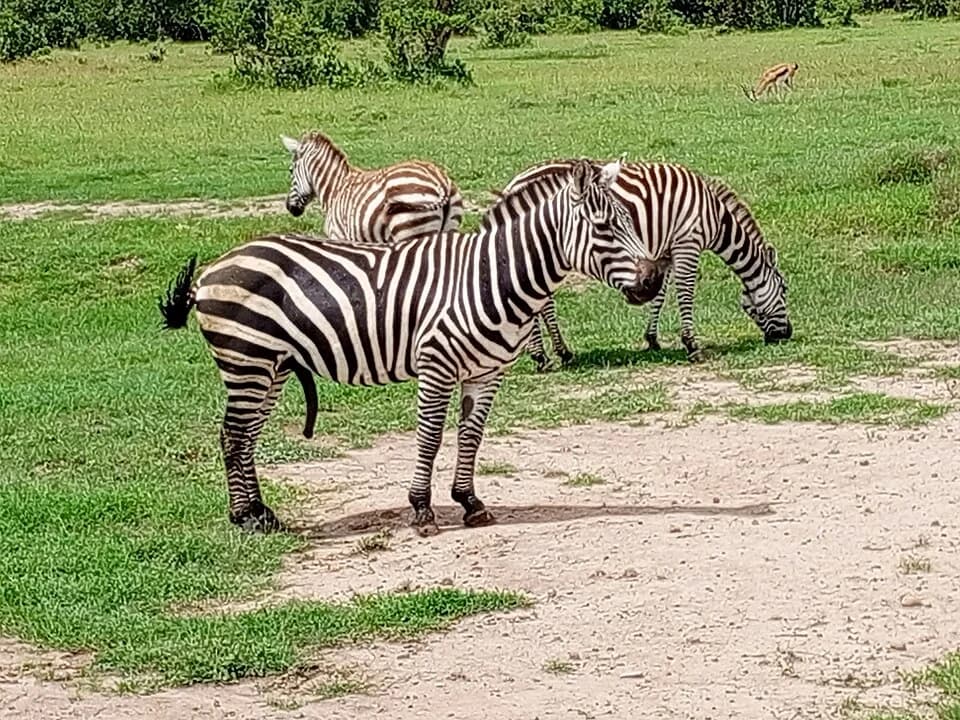 Ol Pejeta Conservancy