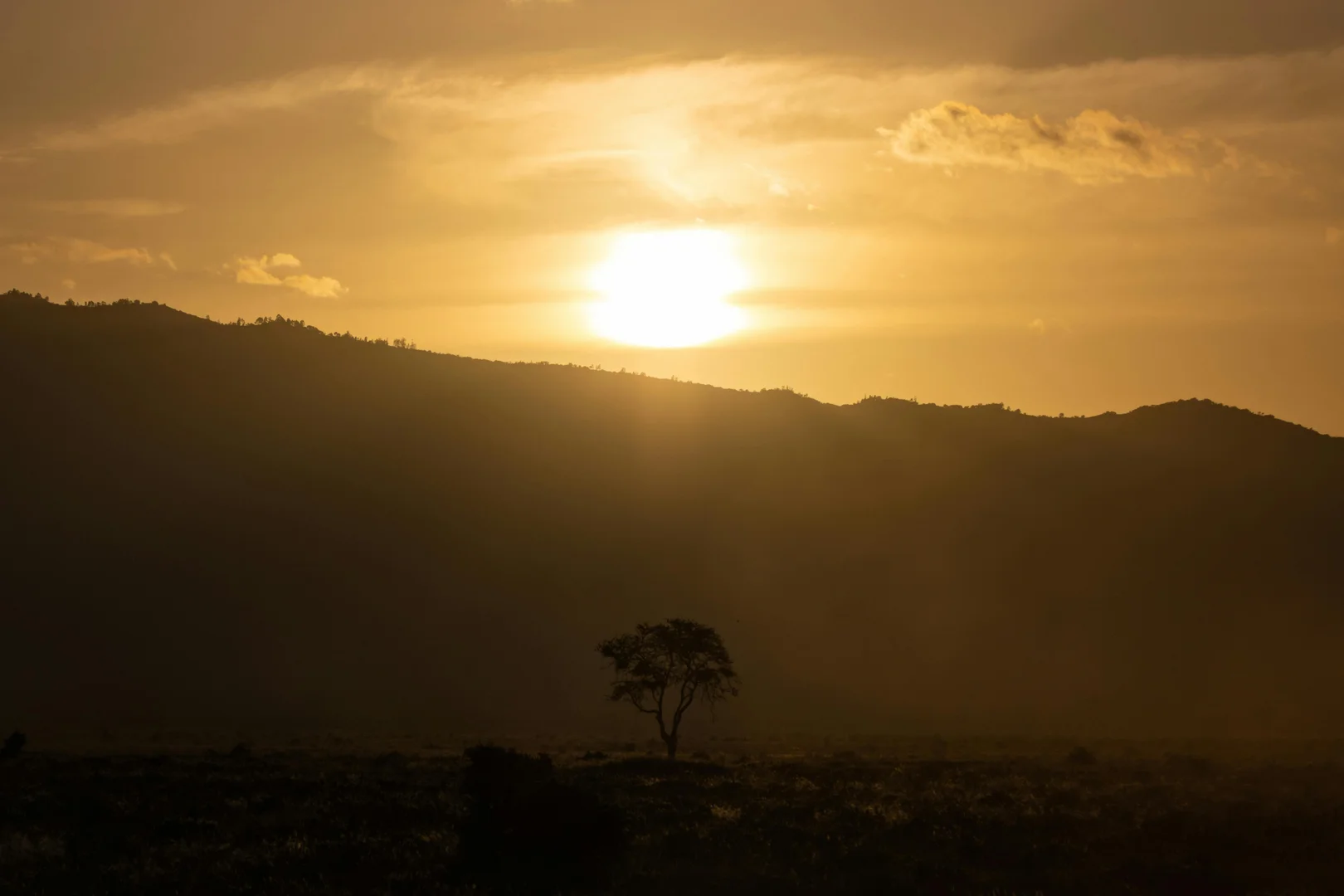 Amboseli Sunrise