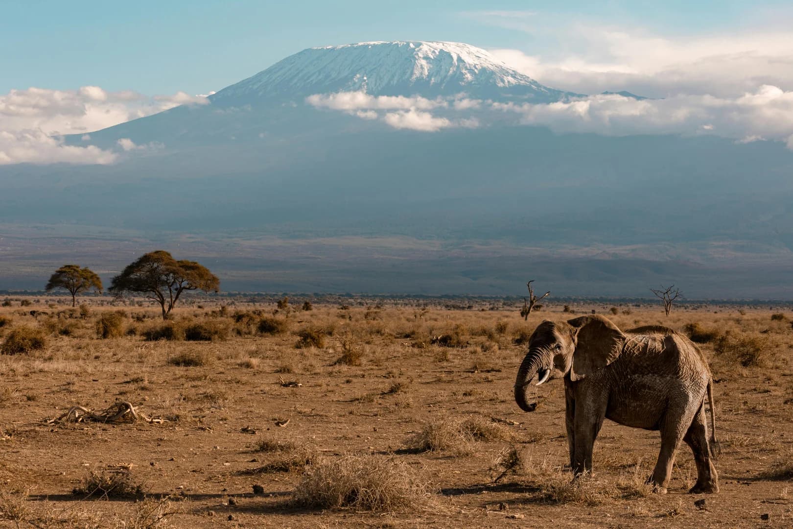 Amboseli