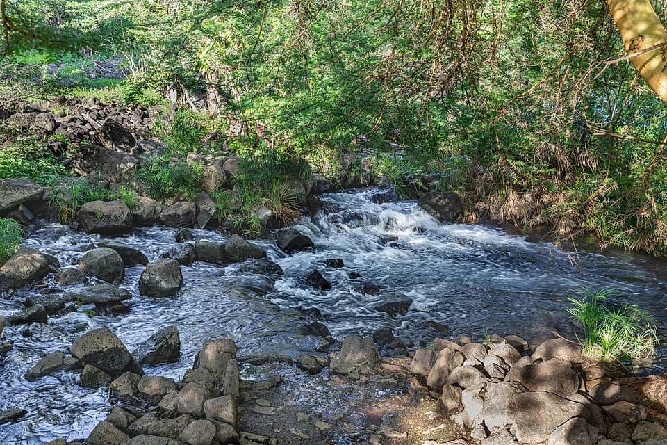 Tsavo West & Mzima Springs