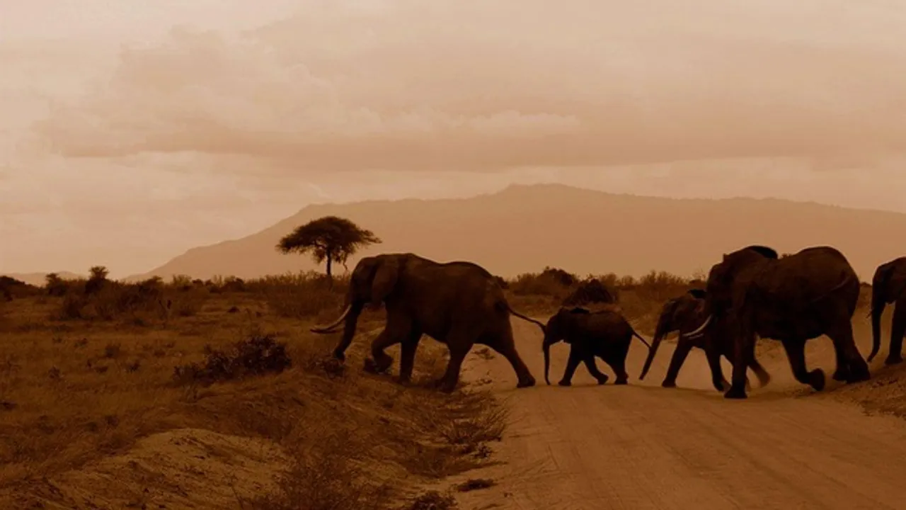 Mombasa to Masai Mara